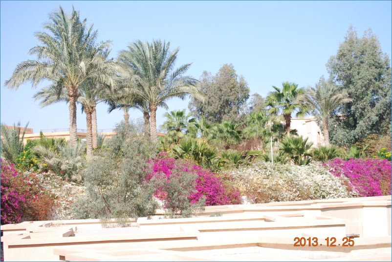 sharm 12 122